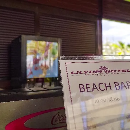 赛德利琉姆spa度假村 4*